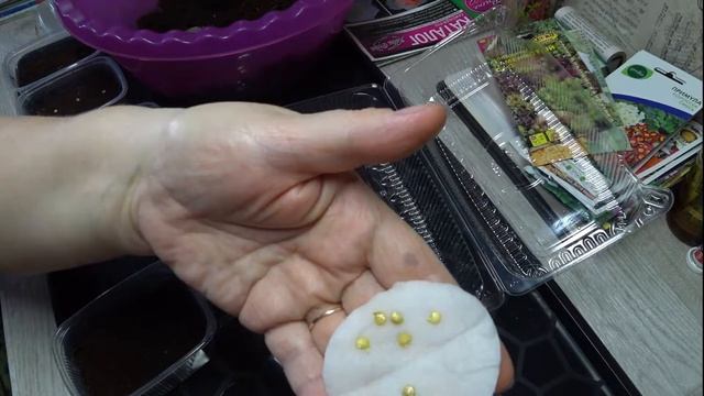 ПОСЕВ ПЕРЦА НА РАССАДУ.ЛУЧШИЙ ГРУНТ ДЛЯ ПОСЕВА