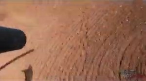 Отстрел кабана.