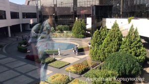 Аэропорт Сочи. Обзор. Экскурсия