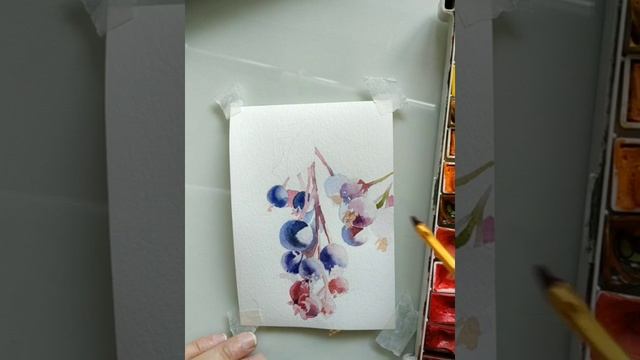 Пишем акварелью иргу смотреть онлайн