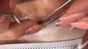 Процесс наращивания ресниц изгиб М, цвет шоколад, объём 2-3D