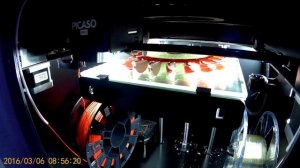 Обзор 3D печати на 3D принтере PICASO PRO 250