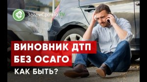 Виновник ДТП без ОСАГО. Что делать?