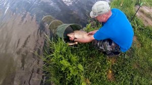 РЫБАЛКА НА ФИДЕР д.Щеглятьево - РКХ "ТИХАЯ ЗАВОДЬ" Vlog #6