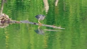 Счастье сердце переполнило. Минус. Родник хвалы и вдохновенья.