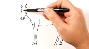 Как нарисовать Лошадь