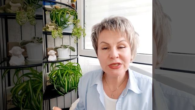 Не поступил в ВУЗ. Как найти свой ВУЗ?((( смотреть онлайн