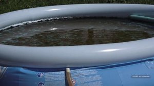 Вода в надувном бассейне прозрачная и живая. Рассказываю причину