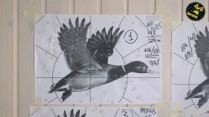 Franchi Affinity. Отстрел Часть 1. Дробь №3 и №1