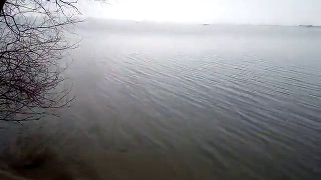 С Праздником Вас , наши любимые Мужчины!!! От Татьяны Розенковой смотреть онлайн