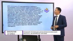 Биология. 10 класс. Механизм репликации дезоксирибонуклеиновой кислоты /28.09.2020/