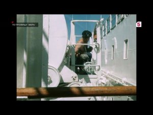 Анимация нового логотипа | Пятый канал [+2]. 06.11.2023