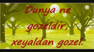 Aygun Kazimova - Seninle