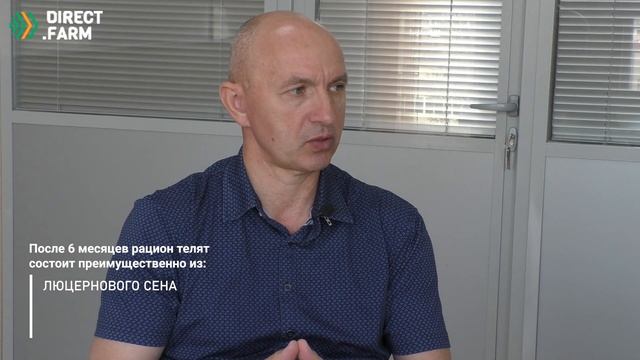 Кормление телят смотреть онлайн