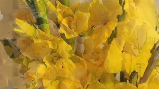 Желтые цветы смотреть онлайн