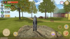 Симулятор КОТА и КОШКИ с Кидом #9 Обновление. Новая порода Шотландские вислоухие на пурумчата