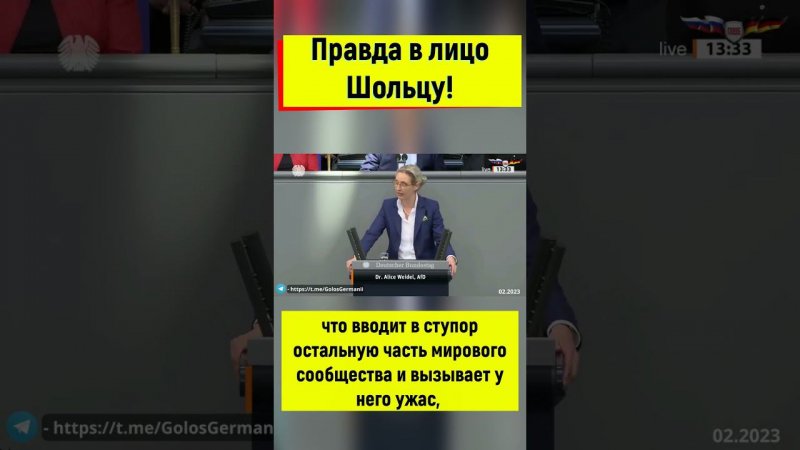 Алис Вайдель: Шольц тебе не стыдно ещё смотреться в зеркало?