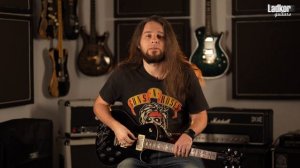 Все виды звукоснимателей PRS и их отличия