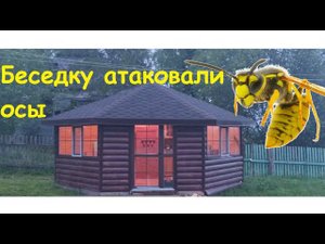 Как избавится от ос простым способом))