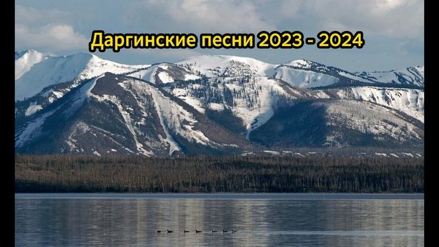 Даргинские песни 2023 - 2024 смотреть онлайн