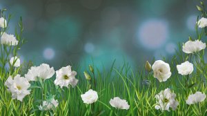 Зеленый фон цветы для текста | Лето, День рождения, 1 мая, 8 марта | Бесплатные футажи для монтажа