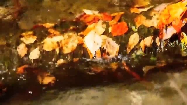 Как прекрасен осенний ручей смотреть онлайн