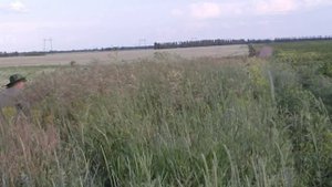 Ловля перепела 2