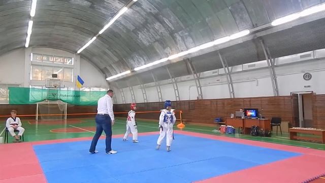 Тхэквондо чемпионат области смотреть онлайн