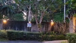 Таиланд. Као Лак. Прогулка под пение птиц. Территория отеля Graceland Khaolak Beach resort.