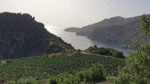 перезагрузить жизнь