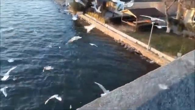 Красивая музыка без слов .