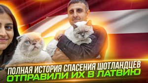 Они остались без хозяйки, но спустя месяцы их заприметила чудесная семья из Латвии. Путь в 2500 км.
