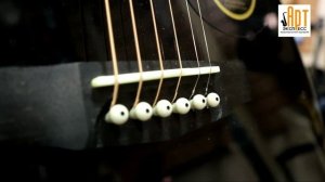 Обзор акустической гитары Cort Earth 100-BK