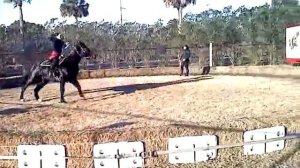 Аланы на западе !)))