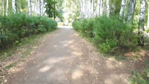 Амзя.