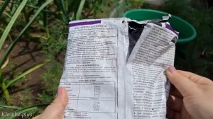 Сделай это с Чесноком в июне и получишь урожай крупных головок