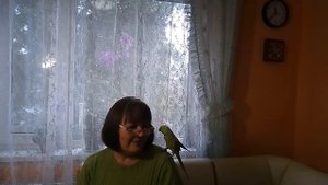 Советы для тех ,кто хочет завести ожерелового попугая