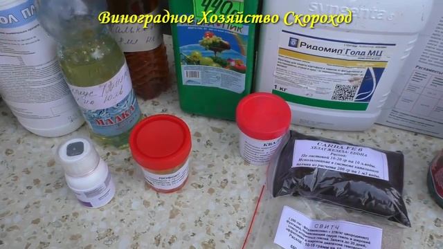 Чем обрабатывать виноград в сезоне 2022 смотреть онлайн