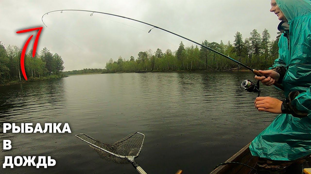 ТАКОГО Я ЕЩЕ НЕ ВИДЕЛ. ЩУКА АТАКУЕТ ЩУКУ. РЫБАЛКАНА СПИННИНГ В КАРЕЛИИ смотреть онлайн