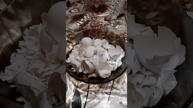 Яичная скорлупа  как подкормка. Настой из скорлупы.
