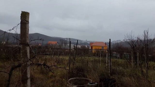 Алушта, оливковая роща, Нижняя Кутузовка, продажа ровного участка .