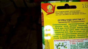 .".Мои ЛЮБИМЫЕ СОРТА ОГУРЦОВ. "ЧУДО ХРУСТИК F1. 12.01.2020.