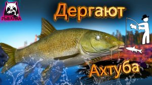 RF4 ОНИ МОГУТ ДЕРГАТЬ ТАК ЧТО МАЛО НЕ ПОКАЖЕТСЯ #рр4