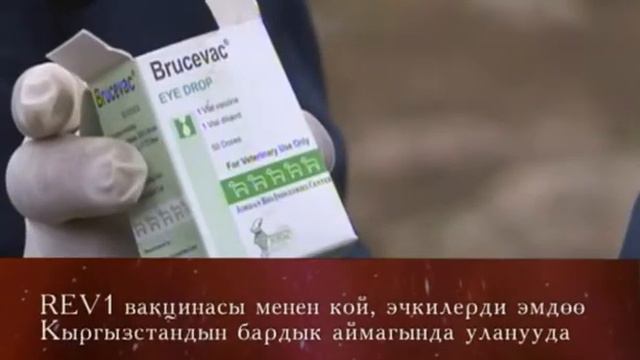 Ролик о ветеринарии смотреть онлайн