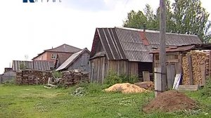 Сива