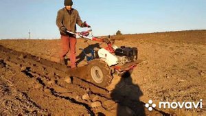 Мотоблок  Weima 1050 з оборотним плугом Агромарка.