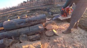 Тест бензопили Holzfforma 372 XP