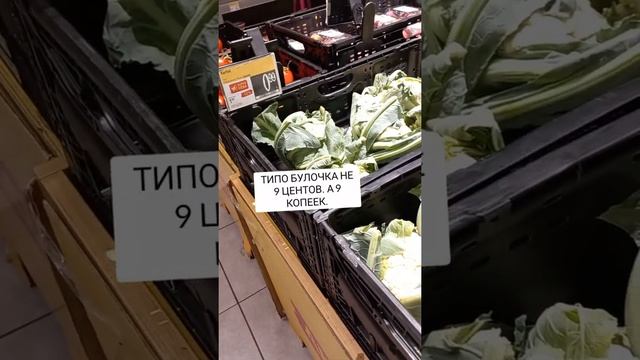 цены в магазине братиславы