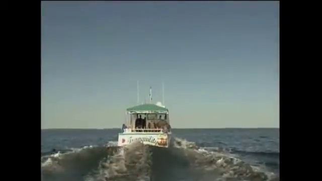 Zoe D'Amato: Travel and Food смотреть онлайн