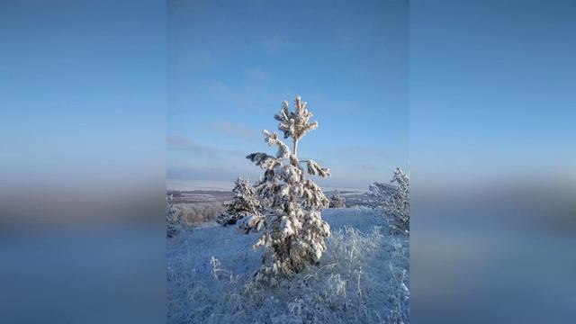 Национальный парк Хвалынский. Декабрь